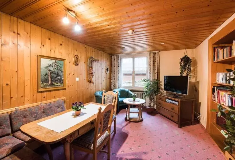 호텔 Brienzerburli