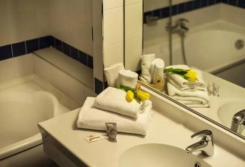 Отель Club Regina E Fassa