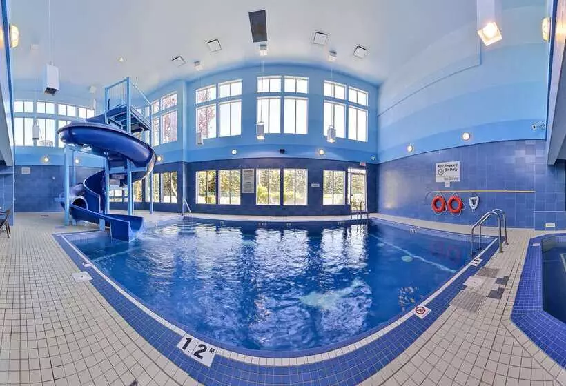 Hotel Hampton Inn & Suites By Hilton Calgary  University Northwest