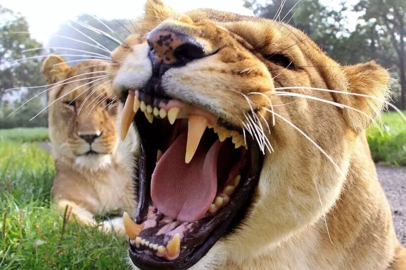 호텔 Holiday Inn Bristol Filton, An Ihg