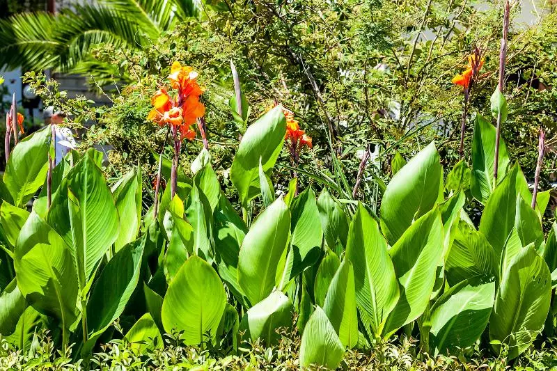 호텔 Xenios Dolphin Beach