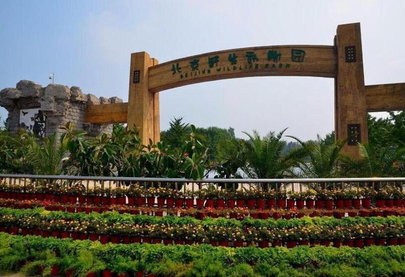 Otel James Joyce Coffetel Langfang Gu'an Airport Xincheng