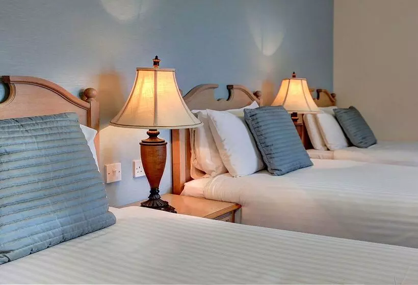 호텔 Best Western Manor