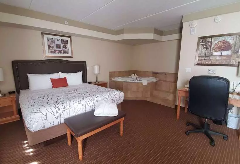 호텔 Waterloo Suites