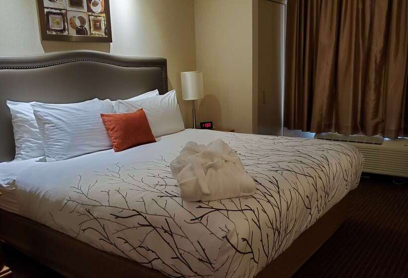 酒店 Waterloo Suites