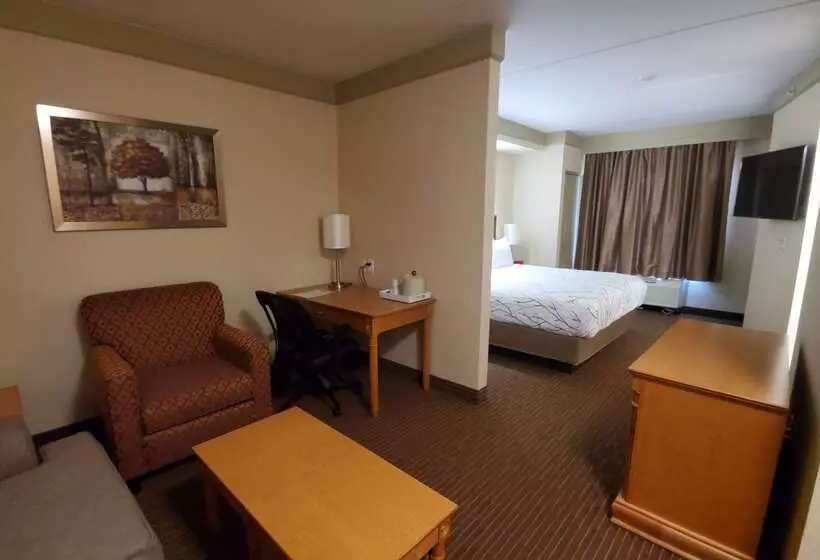 호텔 Waterloo Suites