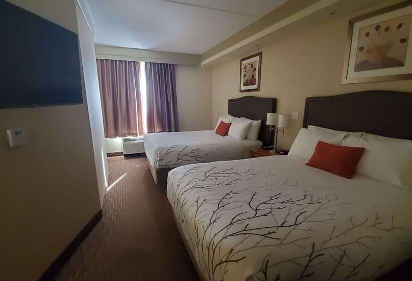 酒店 Waterloo Suites