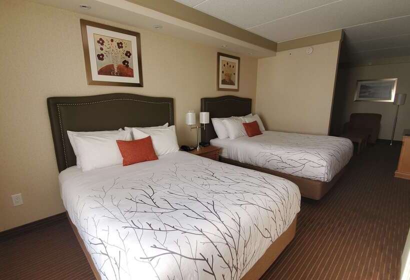 酒店 Waterloo Suites