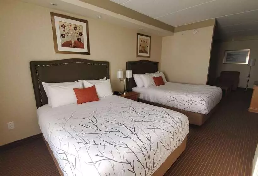 호텔 Waterloo Suites