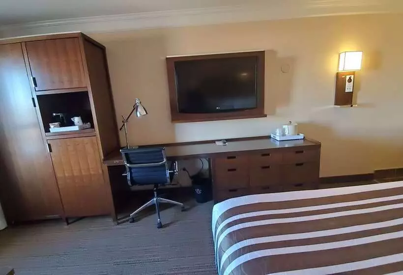 호텔 Waterloo Suites