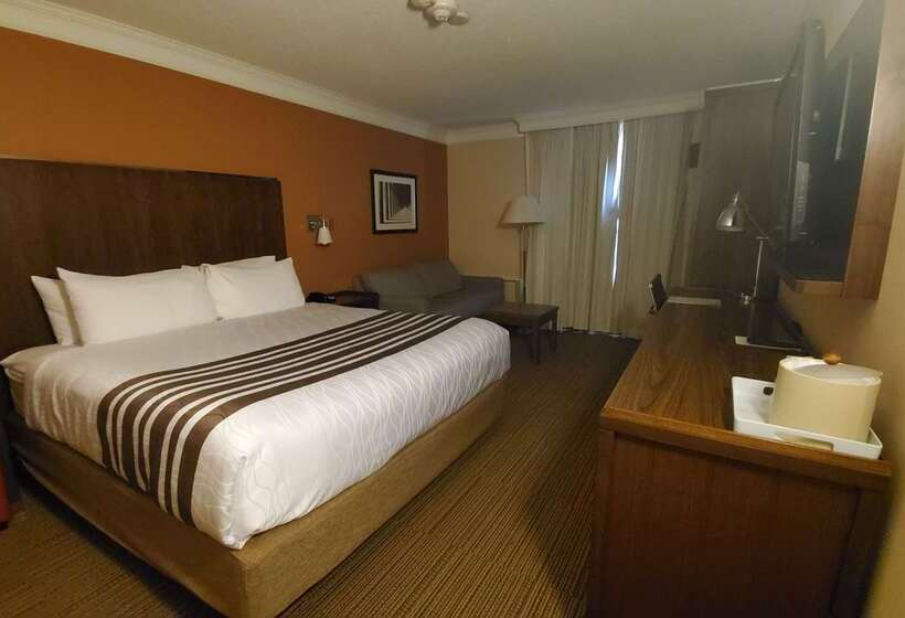 酒店 Waterloo Suites