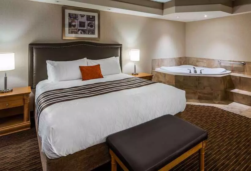 호텔 Waterloo Suites