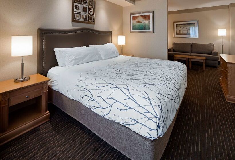 酒店 Waterloo Suites