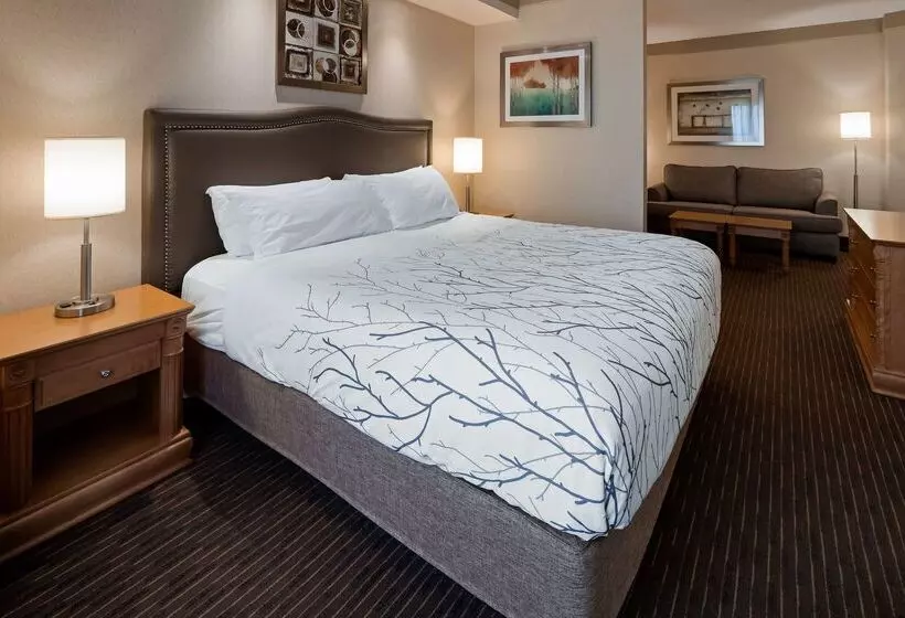 호텔 Waterloo Suites