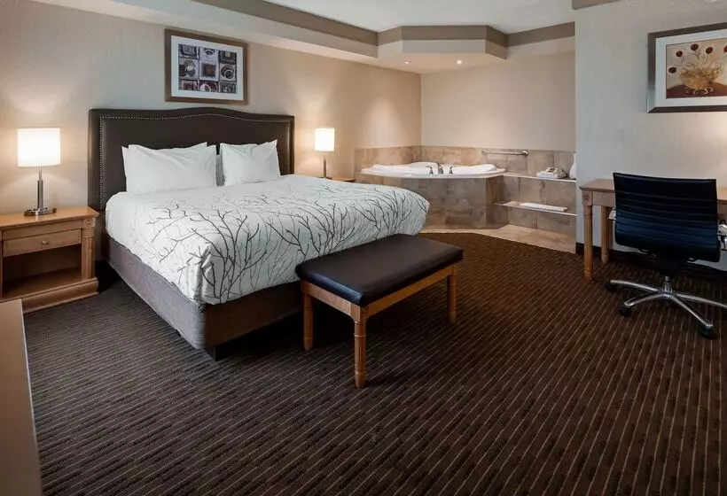 호텔 Waterloo Suites