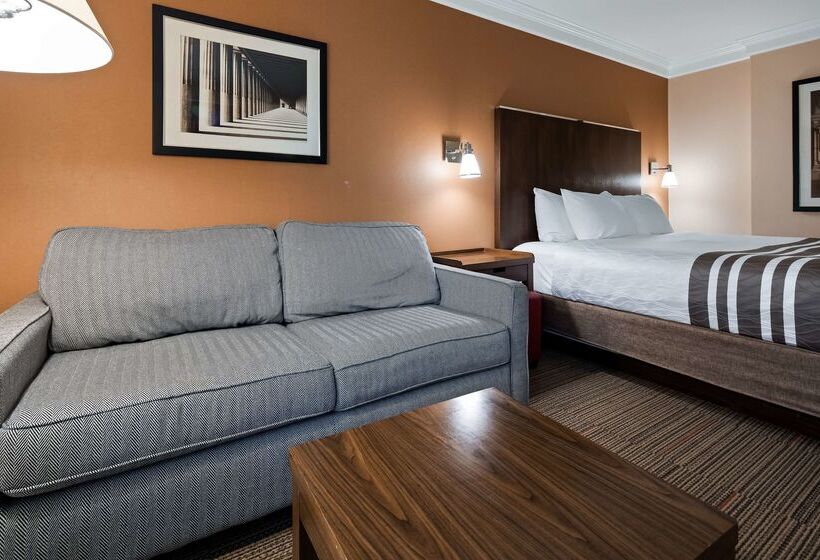 酒店 Waterloo Suites