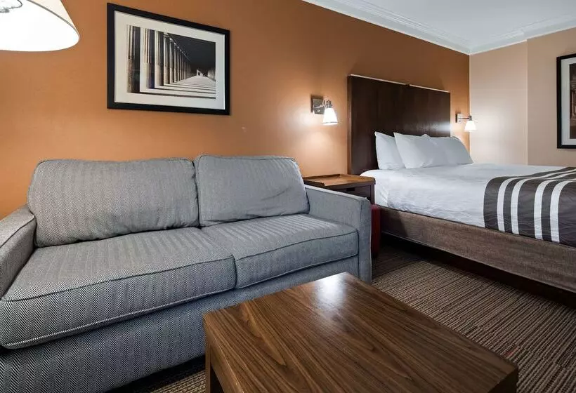 호텔 Waterloo Suites