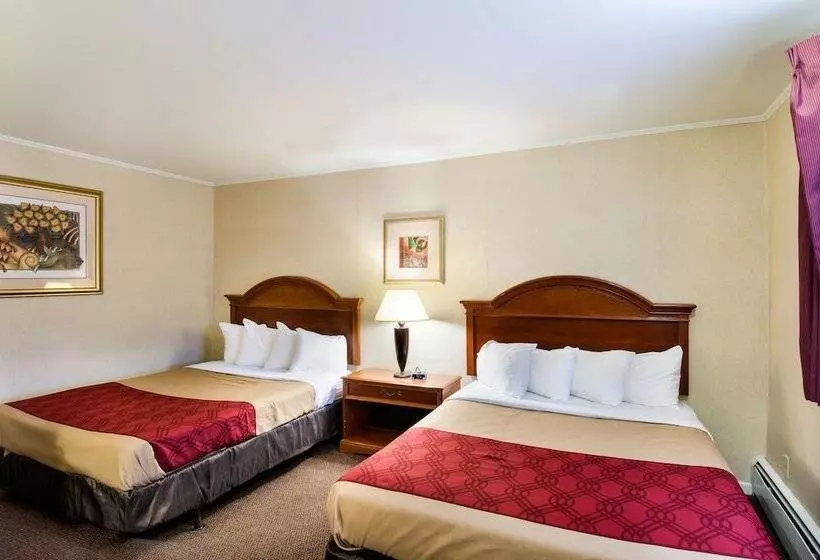 בית מלון כפרי Econo Lodge Inn & Suites