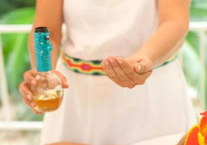 酒店 Hacienda Paradise