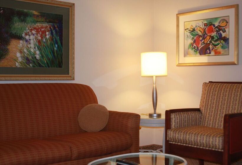 בית מלון כפרי Hilton Garden Inn Elmira Corning