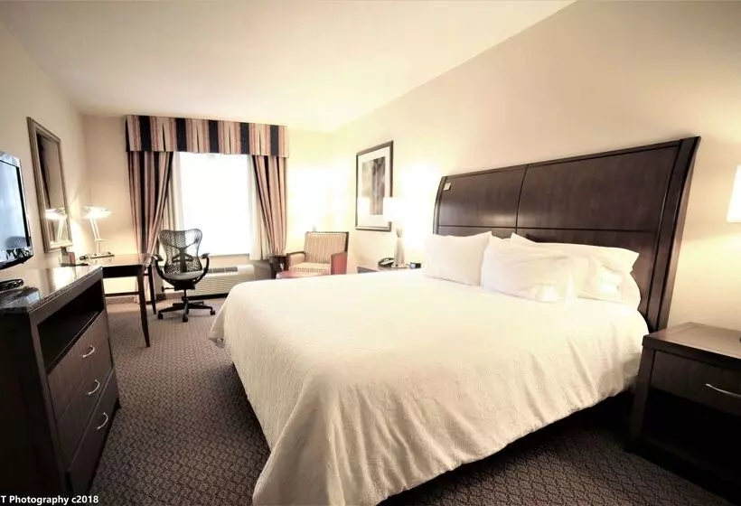 هتل Hilton Garden Inn Elmira Corning