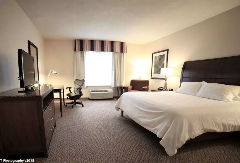 هتل Hilton Garden Inn Elmira Corning