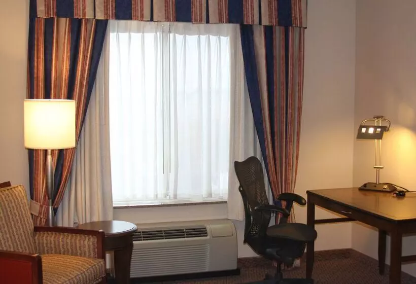 هتل Hilton Garden Inn Elmira Corning