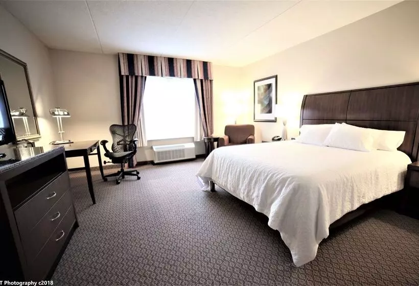 هتل Hilton Garden Inn Elmira Corning