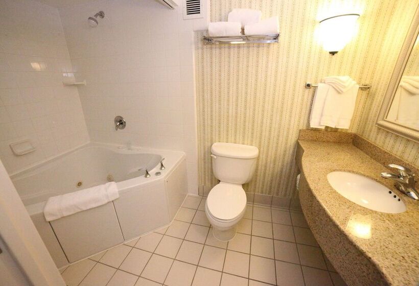 בית מלון כפרי Hilton Garden Inn Elmira Corning