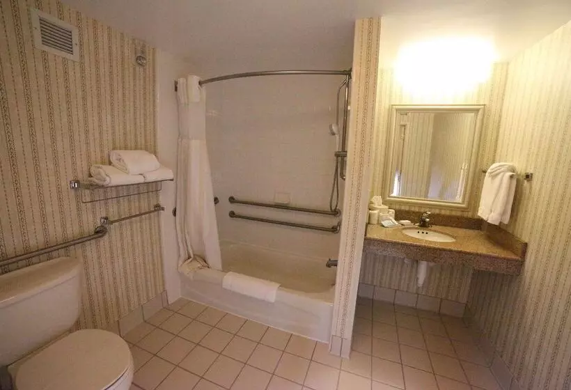 هتل Hilton Garden Inn Elmira Corning