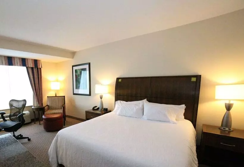 هتل Hilton Garden Inn Elmira Corning