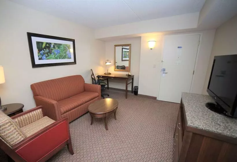 هتل Hilton Garden Inn Elmira Corning