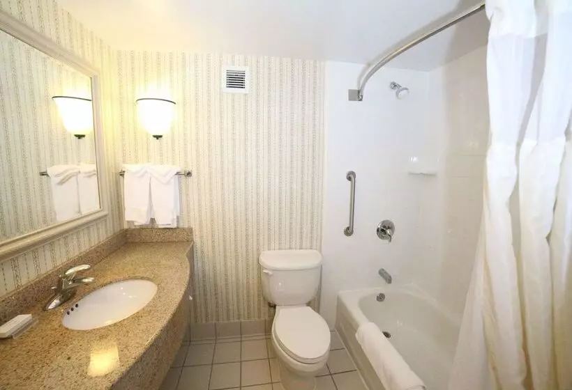 هتل Hilton Garden Inn Elmira Corning