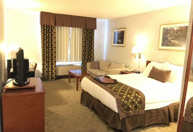 فندق Lexington Inn & Suites Windsor