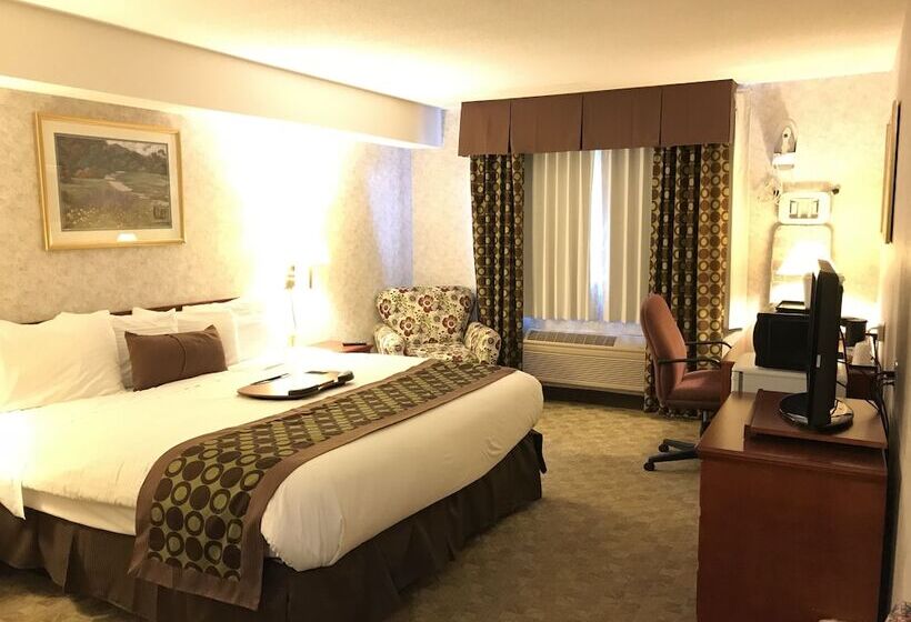 فندق Lexington Inn & Suites Windsor