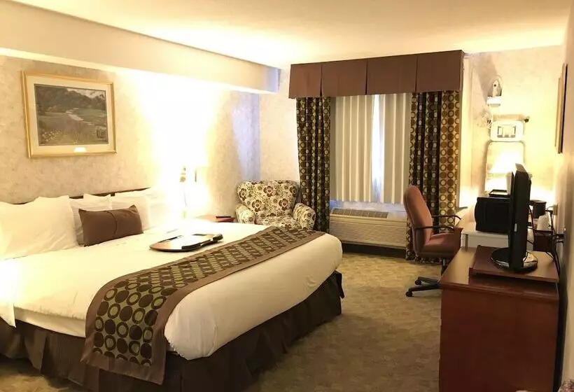 Szálloda Lexington Inn & Suites Windsor