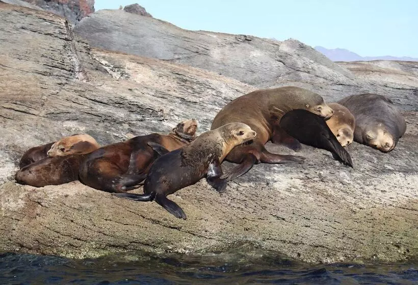 هتل Loreto Bay Golf Resort & Spa At Baja
