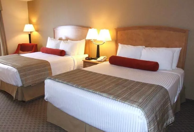 בית מלון כפרי Mountain Retreat