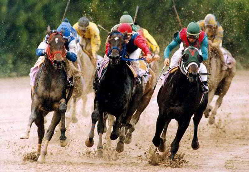 هتل Residence Inn Houston Northwest/willowbrook