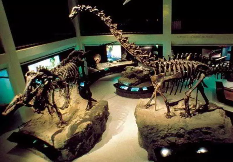 酒店 Residence Inn Houston Northwest/willowbrook