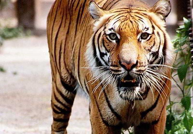 هتل Residence Inn Houston Northwest/willowbrook