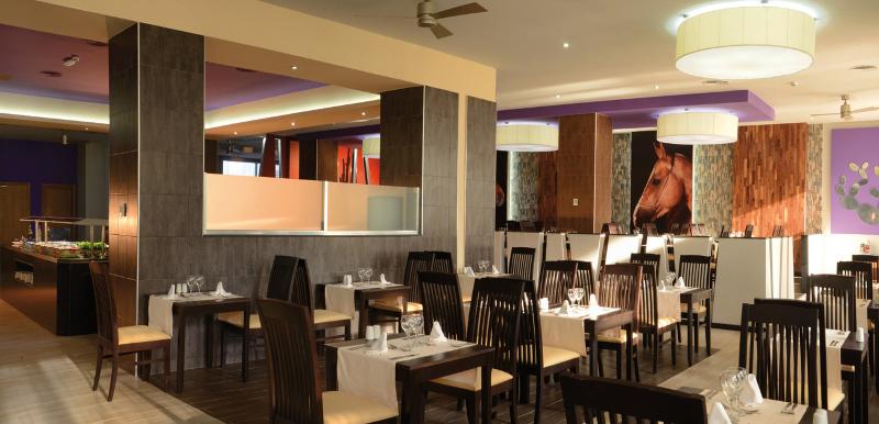 Hotel Riu Jalisco - All Inclusive