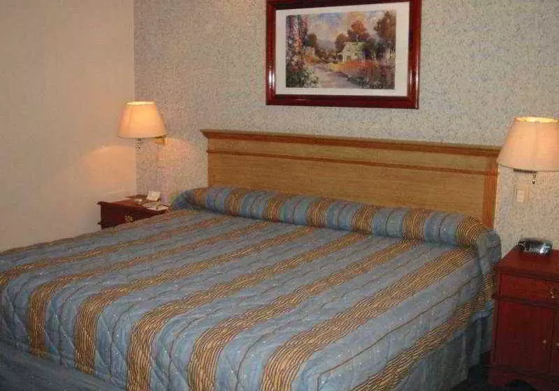 Отель Torres Lindavista