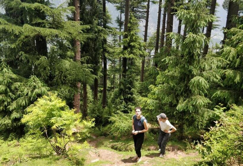 簡易ホテル Madpackers Manali