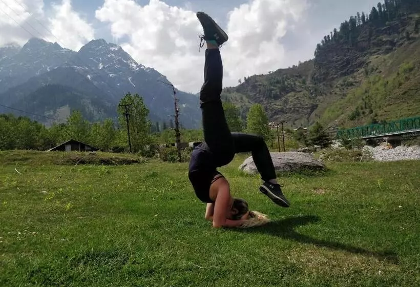 مسافرخانه Madpackers Manali