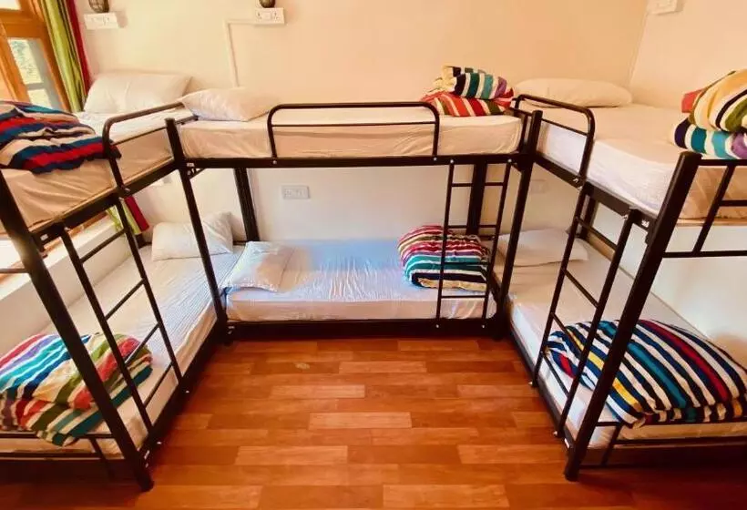 مسافرخانه Madpackers Manali