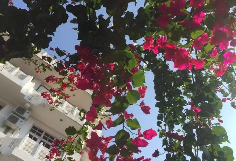 Hotelli Vatika   The Riverside Resort