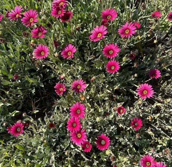 Motelli Hunter Oasis