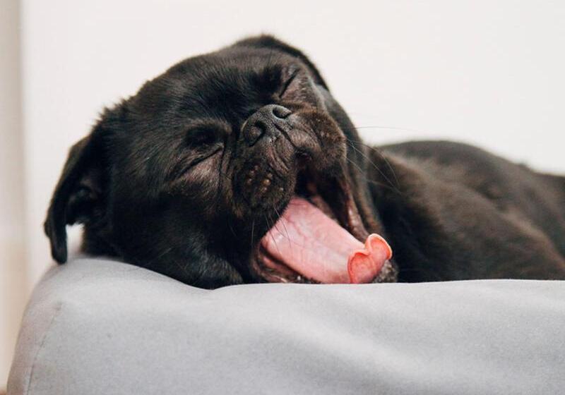 Hotel Abode Belconnen