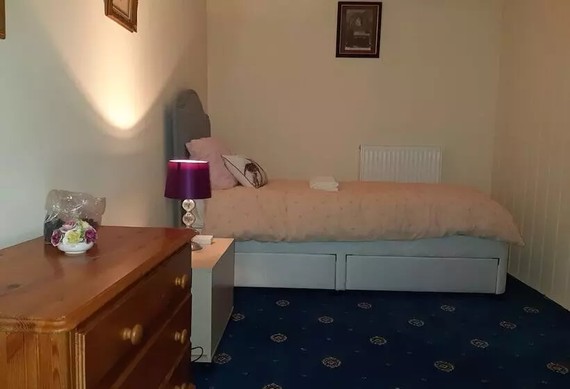 ホテル Phoenix Nights Guest House